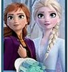 Oral B Oral-B Opzetborstels Kids Frozen 2 Stuks -Oral B SHOP 232x840 4