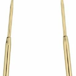 OrganiBrush 100% RVS Tongschraper / Tongreiniger - Antibacterieel - Goud - 1 Stuk