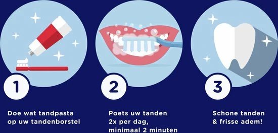 Prodent Charcoal Whitening & Detox Tandpasta - 12 X 75 Ml - Voordeelverpakking 3 Prodent Charcoal Whitening & Detox Tandpasta - 12 X 75 Ml - Voordeelverpakking - Afbeelding 3