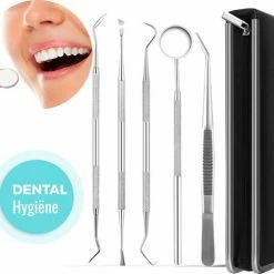 Pitt & Co. Professioneel Tandarts Setje 6 Delig - Tandsteen Verwijderaar – Tandplak Verwijderaar - Tandartshaakje – Tandsteenhaakje - Tandarts Spiegel – Gebitsreiniging – Mondspiegel - Inclusief Luxe Etui - RVS