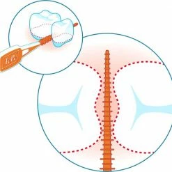 Tepe Easypick Paars XL - 36 Stuks -Oral B SHOP 550x525 4
