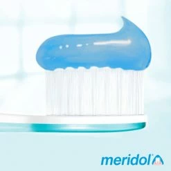 Meridol Tandvlees Tandpasta 3 X 75ml - Voordeelverpakking -Oral B SHOP 550x550 1277