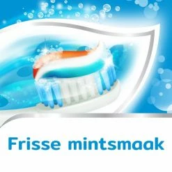 Aquafresh Freshmint 3in1 Tandpasta Voor Gezonde Tanden 75ml -Oral B SHOP 550x550 1885
