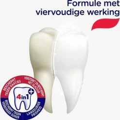 Prodent Fresh Gel Tandpasta - 12 X 75 Ml - Voordeelverpakking -Oral B SHOP 550x554 15